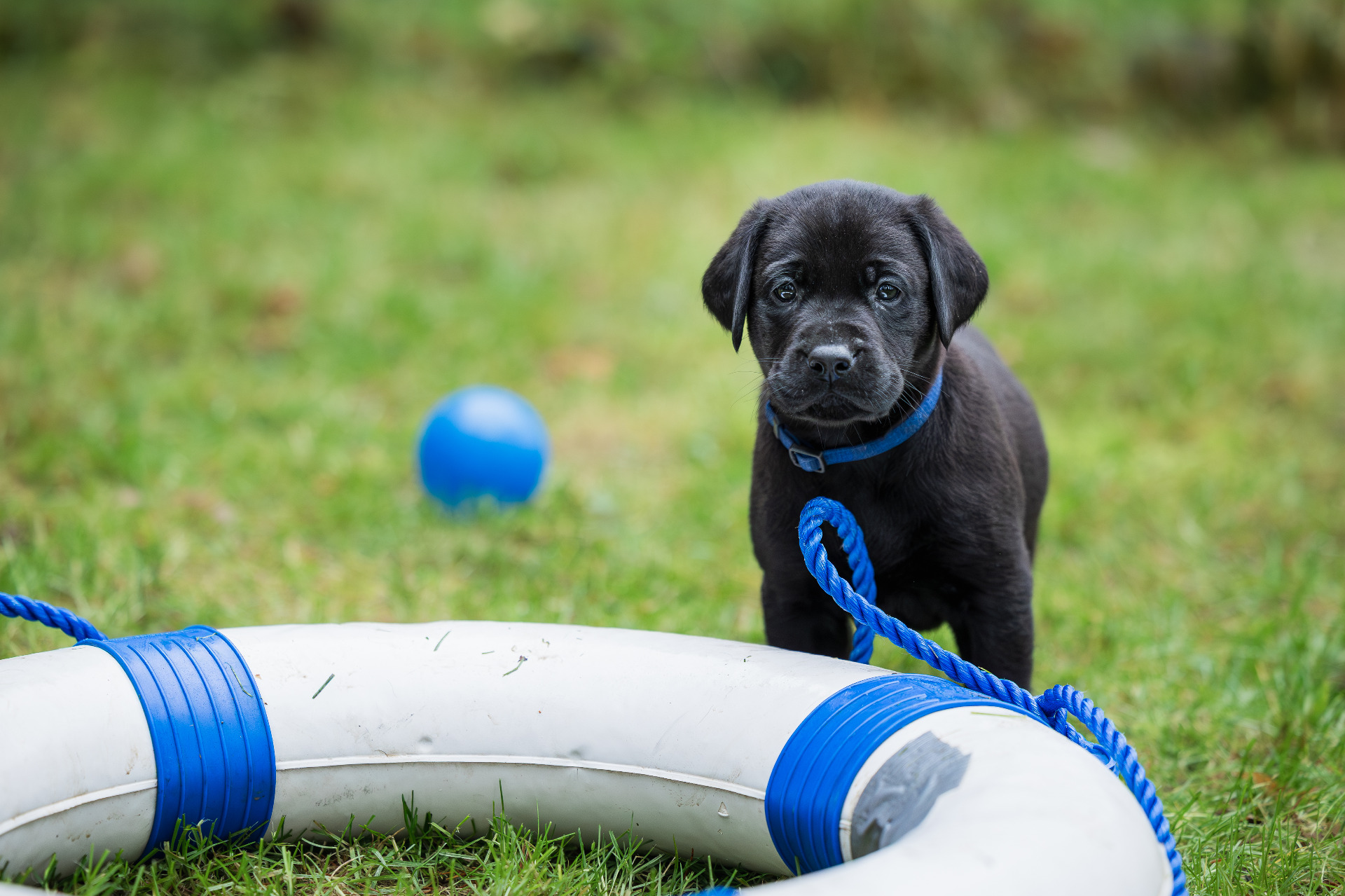 Icywaters Eugenie E-pentue (Kuva: Taru Sinervä)